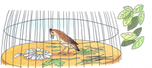 chim-sc6a1n-ca-vc3a0-bc3b4ng-cc3bac-tre1baafng-cc3a1nh-die1bb81u-300x135-1 chim sc6a1n ca vc3a0 bc3b4ng cc3bac tre1baafng cc3a1nh die1bb81u 300x135 1