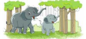 con ve1bb8fi con voi 300x135 1 1