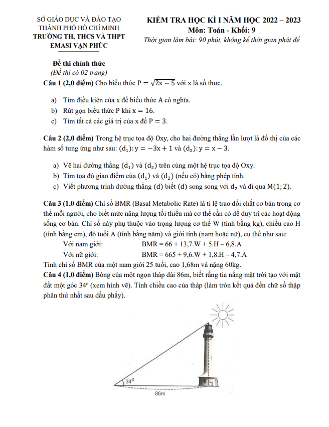 de hoc ki 1 hk1 lop 9 mon toan nam 2022 2023 truong emasi van phuc tp hcm d