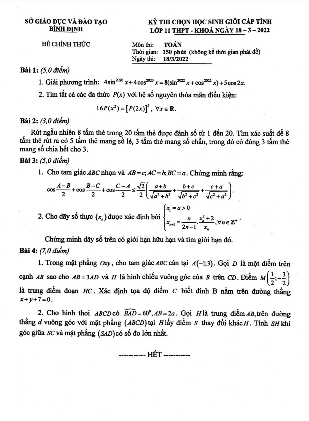 de thi hoc sinh gioi cap tinh lop 11 mon toan nam 2021 2022 so gd dt binh dinh d