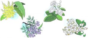 giai tieng vuon trang 21 22 23 sach canh dieu 3 300x130 1