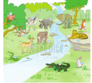 gie1baa3i bc3a0i 25 the1babf gie1bb9bi re1bbabng xanh 300x272 1 1