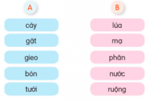 ke1babft he1bba3p te1bbab e1bb9f ce1bb99t a ve1bb9bi te1bbab e1bb9f ce1bb99t b c491e1bb83 te1baa1o te1bbab nge1bbaf che1bb89 cc3b4ng vie1bb87c ce1bba7a ngc6b0e1bb9di nc3b4ng dc3a2n 300x199 1 1