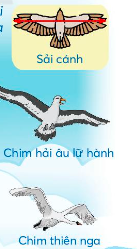 kham pha trang 75 toan 3 tap 1