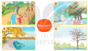 nc3b3i tc3aan mc3b9a vc3a0 c491e1bab7c c491ie1bb83m cc3a1c mc3b9a e1bb9f mie1bb81n be1baafc 300x175 1 1