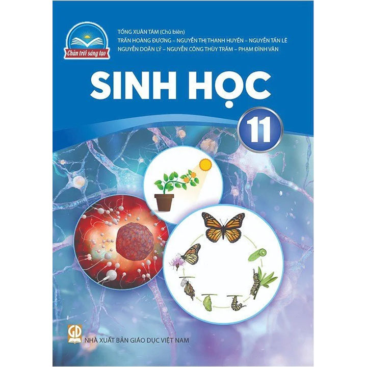 Sách giáo khoa (SGK) - Sinh Học Lớp 11 Chân trời sáng tạo 4 sach giao khoa sgk sinh hoc lop 11 chan troi sang tao 1694