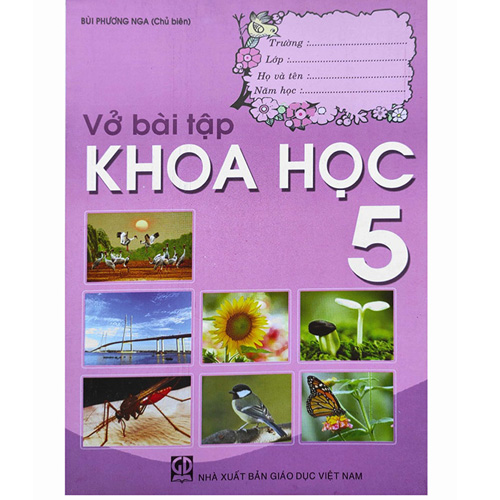 sach giao khoa sgk vo bai tap khoa hoc lop 5 ket noi tri thuc voi cuoc song 781