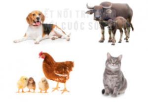 screenshot 1 14 300x206 1