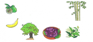 screenshot_1-37-300x137-1-1 screenshot 1 37 300x137 1 1