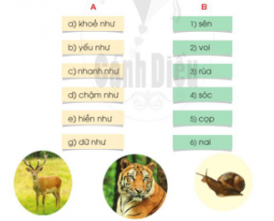 screenshot 1 39 300x242 1