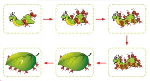 screenshot 101 1 300x162 1 1