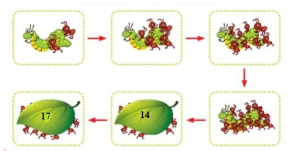 screenshot 102 1 300x151 1