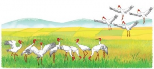 screenshot 11 19 300x136 1 1