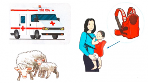 screenshot 11 5 300x169 1 1