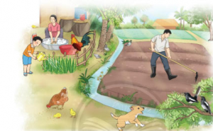 screenshot 12 25 300x184 1 1