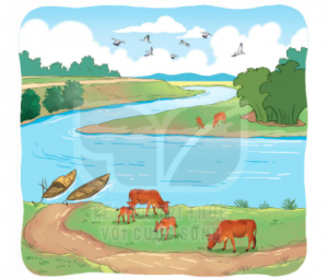 screenshot 12 3 300x255 1 1