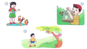 screenshot 15 8 300x169 1 1