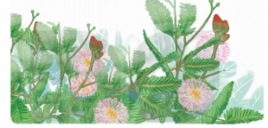 screenshot 18 21 300x144 1 1