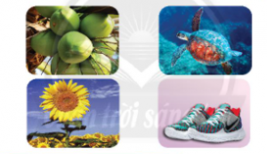 screenshot 2 28 300x174 1 2