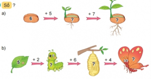 screenshot 24 12 300x158 1 1