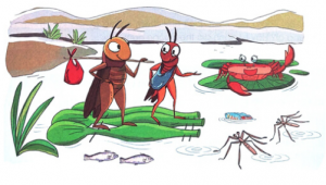 screenshot 27 20 300x170 1 1