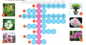 screenshot 34 1 300x157 1