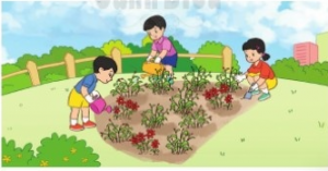 screenshot 5 11 300x157 1 1