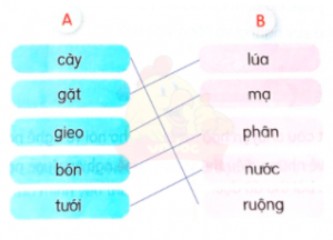 screenshot 5 16 300x216 1