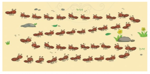 screenshot 6 10 300x149 1 1