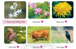 screenshot 6 16 300x191 1 1