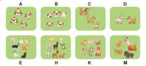 screenshot 65 4 300x135 1 1