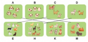 screenshot 66 4 300x144 1