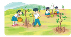 Bài 5 trang 24 Toán 2 tập 1 Kết nối tri thức: Lớp 2A trồng được 29 cây, lớp 2B trồng được 25 cây 1 screenshot 67 1 300x155 1