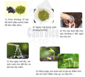 screenshot 7 21 300x273 1