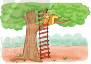 screenshot 80 1 300x211 1 1