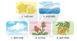 screenshot 89 2 300x161 1 1