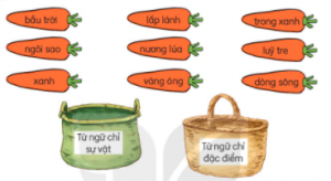 screenshot 9 5 300x164 1 1