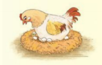 soe1baa1n bc3a0i c490c3a0n gc3a0 me1bb9bi ne1bb9f tie1babfng vie1bb87t 2