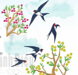 soe1baa1n-bc3a0i-chim-c3a9n soe1baa1n bc3a0i chim c3a9n