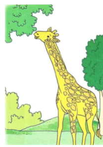 Soạn bài Hươu cao cổ - Tiếng Việt 2. Hươu cao cổ cao như thế nào? Chiều cao của hươu cao cổ có gì thuận tiện và có gì bất tiện? Hươu cao cổ sống với các loài vật khác 1 soe1baa1n bc3a0i hc6b0c6a1u cao ce1bb95 tie1babfng vie1bb87t 2