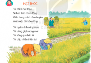 Soạn bài Hạt thóc trang 31, 32 Tiếng Việt lớp 2 Kết nối tri thức 1 soe1baa1n bc3a0i he1baa1t thc3b3c tie1babfng vie1bb87t le1bb9bp 2 300x208 1