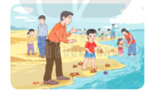 soe1baa1n bc3a0i nhe1bbafng con sao bie1bb83n tie1babfng vie1bb87t le1bb9bp 2 300x182 1