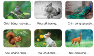 tc3acm te1bbab nge1bbaf che1bb89 c491e1bab7c c491ie1bb83m ce1bba7a me1bb99t loc3a0i ve1baadt em yc3aau thc3adch 300x180 1