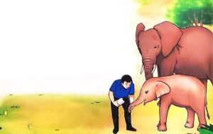 tieng viet lop 2 trang 80 81 on tap 5 4 300x189 2