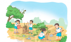 vie1babft 3 5 cc3a2u ke1bb83 vie1bb87c em vc3a0 cc3a1c be1baa1n chc483m sc3b3c cc3a2y 300x178 1