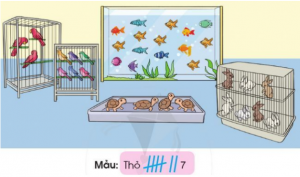 xem tranh re1bb93i kie1bb83m c491e1babfm se1bb91 lc6b0e1bba3ng te1bbabng loe1baa1i con ve1baadt vc3a0 ghi le1baa1i ke1babft que1baa3 theo me1baabu 300x177 1