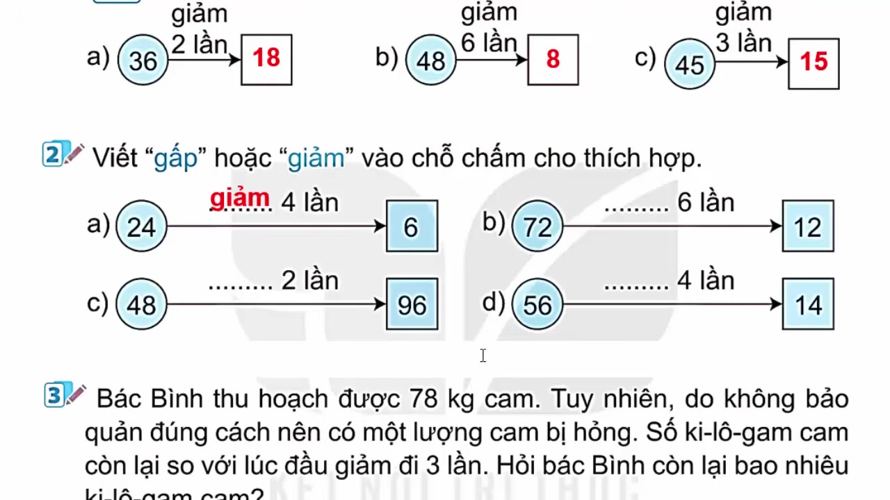 Hướng Dẫn Giải Toán Lớp 2: Phép Nhân, Phép Chia Và Bài Toán Có Lời Văn Cực Dễ Hiểu 3 Trình bày bài giải bài toán có lời văn về số kg đường một cách chi tiết.