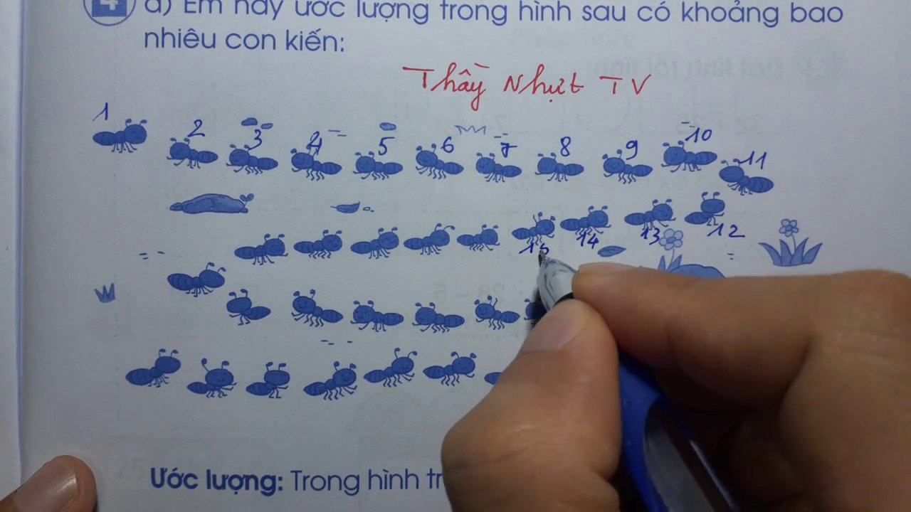 Hình vẽ đàn kiến trong sách bài tập, là đối tượng để các em luyện tập ước lượng.