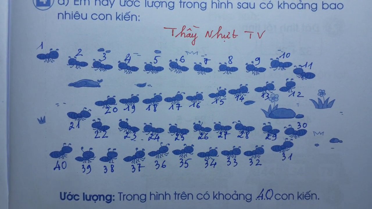 Thầy Nhựt đang chỉ vào từng con kiến và đếm to, rõ ràng để các em theo dõi.