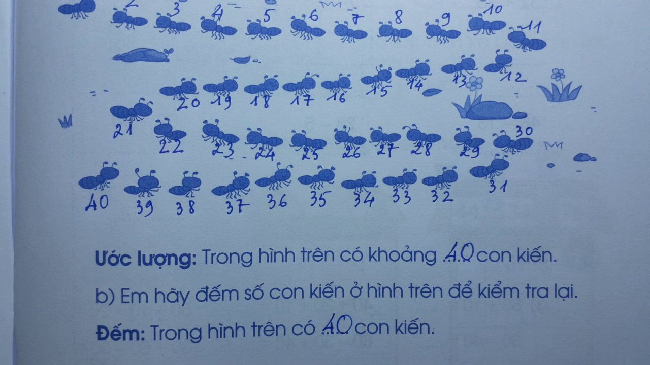 Kết quả cuối cùng được khoanh tròn: Có tất cả 40 con kiến trong hình.